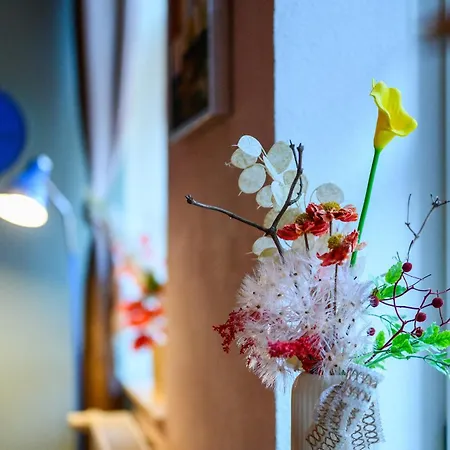 公寓 Auf Wolke Sieben *