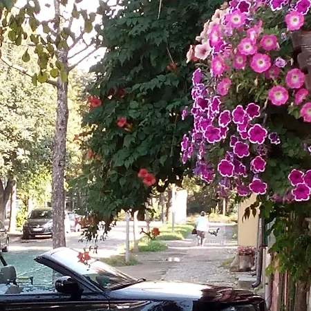 Auf Wolke Sieben 奎德林堡