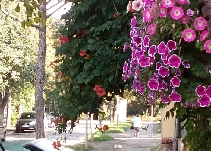 Auf Wolke Sieben 奎德林堡